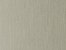 FDL Folie DM Champagne brushed AR 2600x1000x1,2 mm SA
