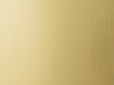FDL Folie DM Brass brushed matt AR 2600x1000x1,2 mm SA
