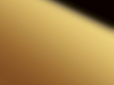 FDL Folie DM Gold MMS 2600x1000x1,2 mm SA