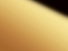 FDL Folie DM Gold 2600x1000x1,2 mm SA