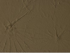 FFL Folie FL LOTUS VELVET Mocha 2600x1000x4,2 mm SA