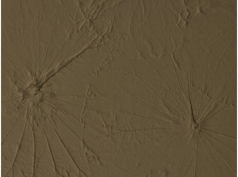 FFL Folie FL LOTUS VELVET Mocha 2600x1000x4,2 mm SA