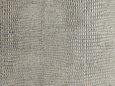 FLL Folie LL LEGUAN Silver 2600x1000x1,63 mm SA