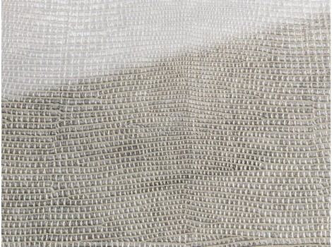 FSG Folie SG LEGUAN Silver AR+ 2600x1000x2,8 mm SA