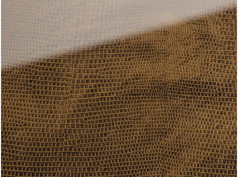 FSG Folie SG LEGUAN Copper AR+ 2600x1000x2,8 mm SA