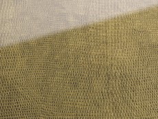 FSG Folie SG LEGUAN Gold AR+ 2600x1000x2,8 mm SA