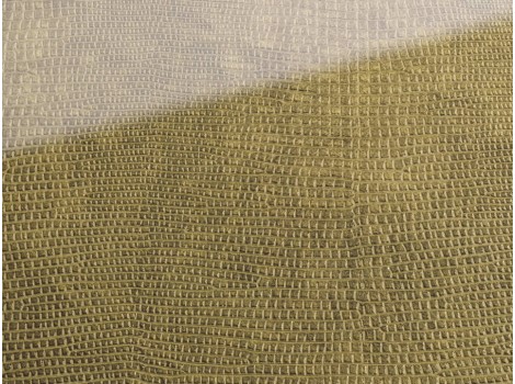 FSG Folie SG LEGUAN Gold AR+ 2600x1000x2,8 mm SA