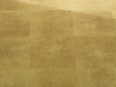 FSG Folie SG LUXURY Gold AR+ 2600x1000x3,1 mm SA