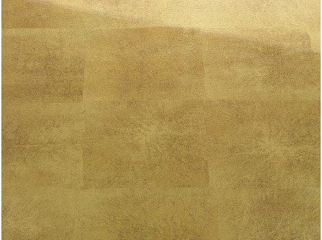 FSG Folie SG LUXURY Gold AR+ 2600x1000x3,1 mm SA