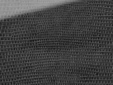 FSG Folie SG LEGUAN Nero AR+ 2600x1000x2,8 mm SA