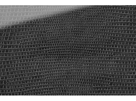 FSG Folie SG LEGUAN Nero AR+ 2600x1000x2,8 mm SA