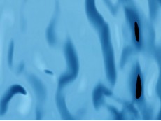 FSL Folie SL OCEAN Iceblue AR 2600x1000x6,3 mm SA
