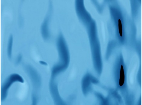 FSL Folie SL OCEAN Iceblue AR 2600x1000x6,3 mm SA