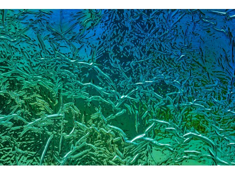 FSL Folie SL CREPA Aqua 2600x1000x1,7mm NA