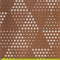 HDF Perforatia FISH