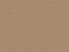 HCPL Egger U250 ST9 Bej caramel