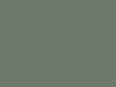HCPL Egger U604 ST9 Verde eucalipt