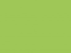 HCPL Egger U630 ST9 Verde lamaie