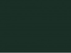 HCPL Egger U699 ST9 Verde brad