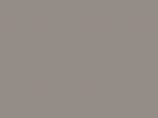 HCPL Egger U788 ST9 Gri arctic
