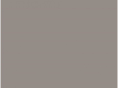 HCPL Egger U788 ST9 Gri arctic