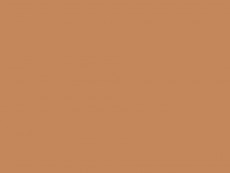 HCPL Egger U830 ST9 Caramel nude