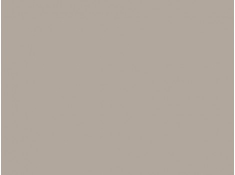 HFX FENIX 0748 Beige Arizona