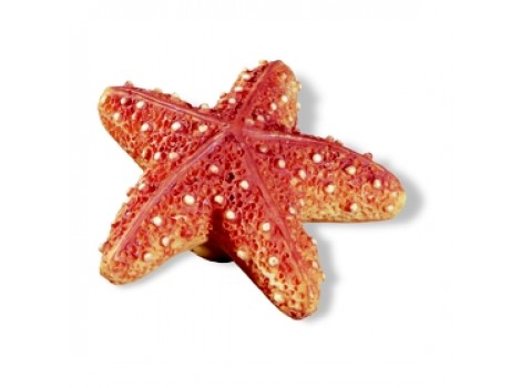 S H023-55A9 Buton stea de mare