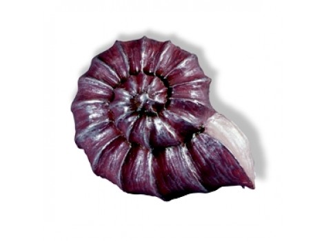 S H030-49A9 Buton melc